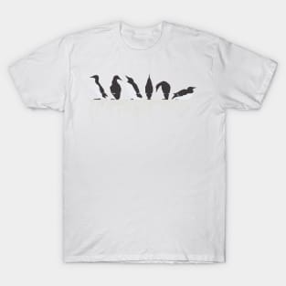 Graphic Nature - Guillemot Ledge T-Shirt